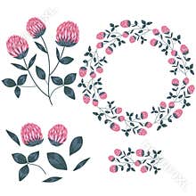 Red clover. Wild meadow flower clipart isolated