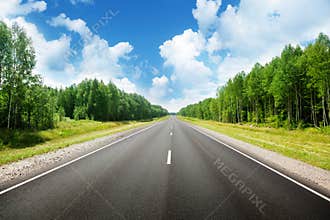Road in forest