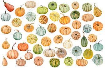 watercolor pumpkins, Halloween illustration set, harvest, Thanksgiving autumn design elements, fall, holiday clip art