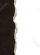 Torn paper borders