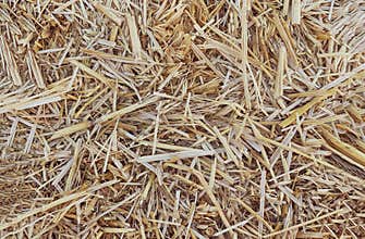 Hay in a bale in a sunny day close-up. Food product for farm animals, farming concept