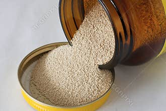 Dry yeast