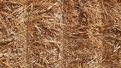 Hay in a bale in a sunny day close-up. Food product for farm animals, farming concept