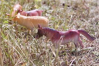 Toy farm animals horse, sheep, goat and pig on a walk in real grass