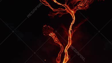 Aerial birds eye overhead top down panning view of flowing hot lava stream after volcano eruption. Magma river branching