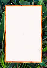 Tropical floral and bamboo framework for photo or invitations