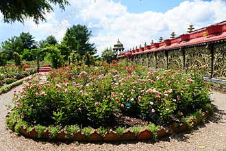 Beautiful Rose Garden at Prabhhupada`s Palace of Gold near Moundsville, West Virginia, U.S.A