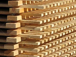 Timber supply