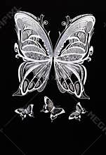 White butterfly on black background
