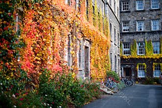 Campus at Trinity College. Dublin, Ireland