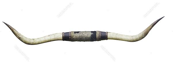 Bull horns
