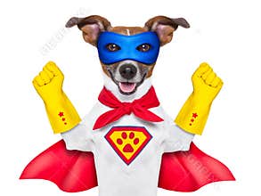 Super hero dog