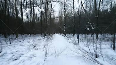 Speeding through snowy forest, motion blur enhances wintry journey. Frozen trees line serene path, creating tranquil