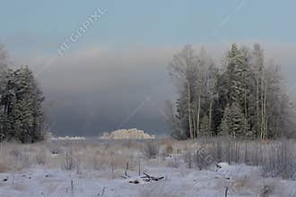 Snow forests and coastline of Valaam Island