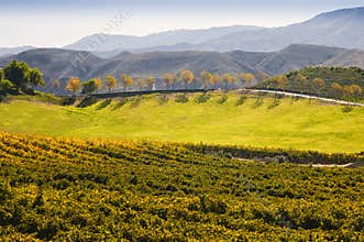 Wine Country, Temecula, Southern California