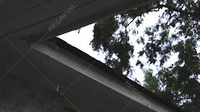 Raindrops Falling from a Rooftop during a Dreary Summer Storm
