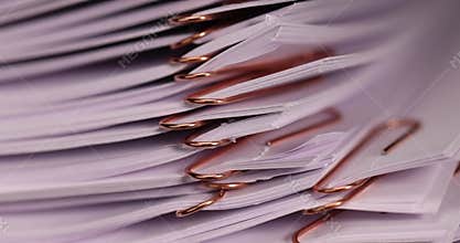 white blank sheets of paper connected by copper staples