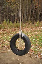Tire Swing