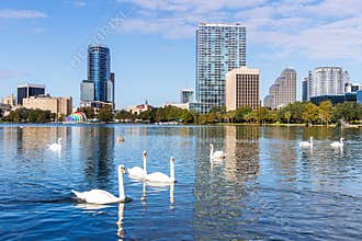 Orlando skyline at Lake Eola Park with swans downtown in fall season in Florida in the United States
