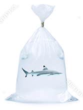 Shark Plastic Bag
