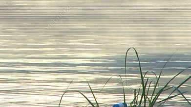 Mist and pond ripples
