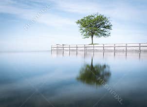A lone tree sits on a pier overlooking a smooth, clear St Lawrence River on a bight, blue morning