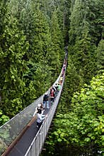 Capilano Suspension Bridge in the city of Vancouver, BC, Canada