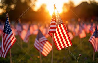American flags waving in field at sunset. Patriotic scene. Memorial day 4th of July celebration. Many flags in outdoor setting.