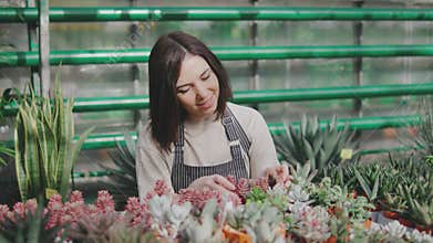 Portrait of a beautiful young woman in a greenhouse. packages and sorts various plants in a greenhouse or plant store