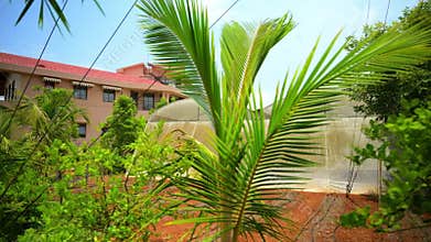 Private Bungalow Backyard Farmland