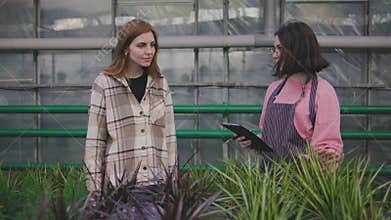 Female sales consultant gives advice to helps choose a cactus to the buyer. Woman plant botanist communicates with a