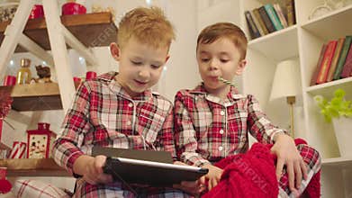 Cute boys watching laptop on Christmas eve
