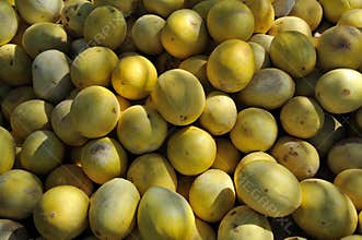 Sweet melon