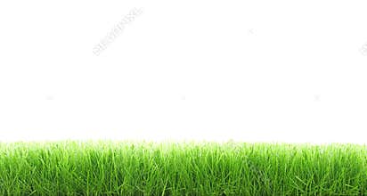 Cut grass