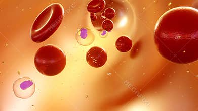 spherocyte is a red blood cell that is spherical in shape