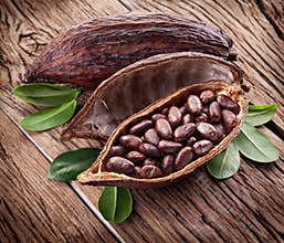 Cocoa pod