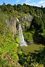 Whangarei Falls NZ