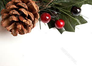 Christmas greenery