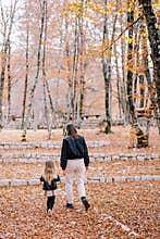 Mother and a little girl walk along a path with stone borders in an autumn park. Back view