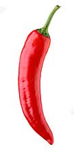 Red hot chili pepper