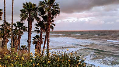 Sunsets at Swamis Reef Surf Park, Moonlight, Cardiff and Del Mar beaches.