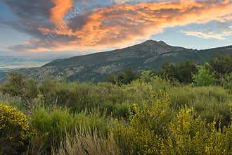 Landscape, view, nature, spring, green, Spain, flora, plants,