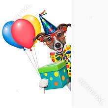 Birthday dog