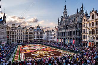 Annual Flower Carpet in Brussels, Belgium