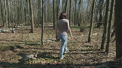 Middle-Aged Woman Walking In A Forest. Walks Through Spring Forest. Woman Walking Dog In Park Forest. Woman Walks Along