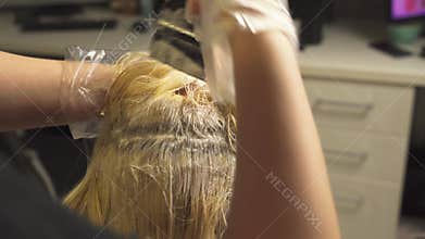 Woman Getting Hair Cut at Salon