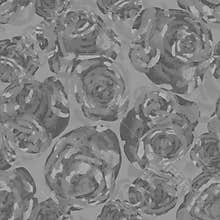 Roses flowers wavy seamless pattern in monochrome tones.