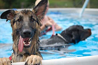GSD in pool
