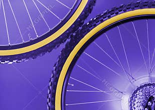Bike's wheels