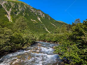 Beautiful scenery of the Preservance Trail with a river